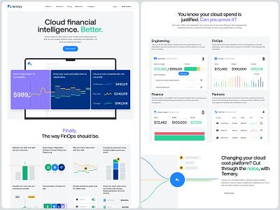 Ternary - Homepage app aws b2b charts cloud dashboard data finops home optimization product design product visuals saas ui ui design user interface ux web app web design website