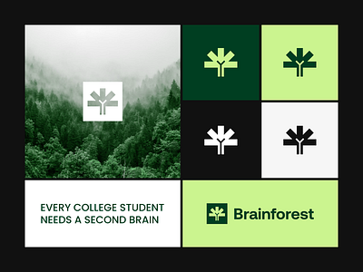 Brainforest - Logo & brand identity for the educational platform brand brand guidelines brand identity brand marketing branding education graphic design identity design lms logo logo book logo design logo mark marketing visual identity